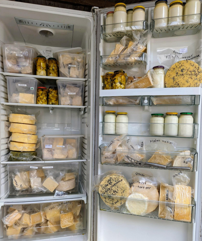 Домашняя выдержка сыра в одном из моих холодильников &quot;Сырные пещеры&quot;