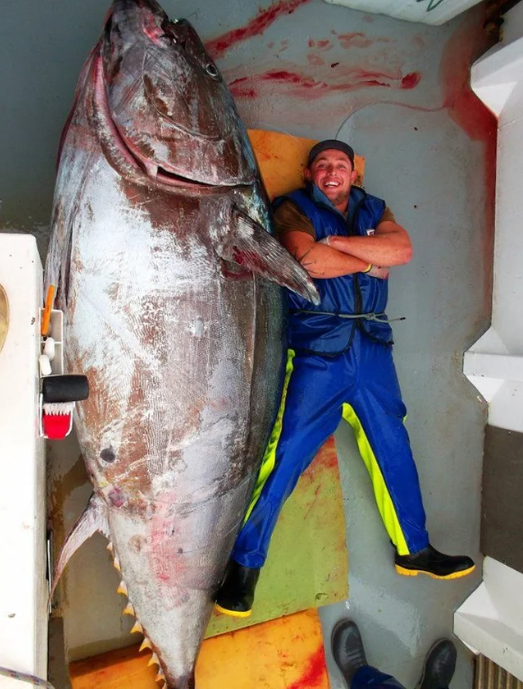 В восторге от размеров этого тунца, пойманного у берегов Новой Зеландии